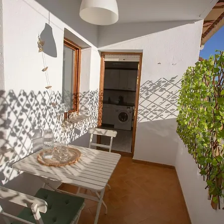 Apartamento En Valladolid Vut-47/314